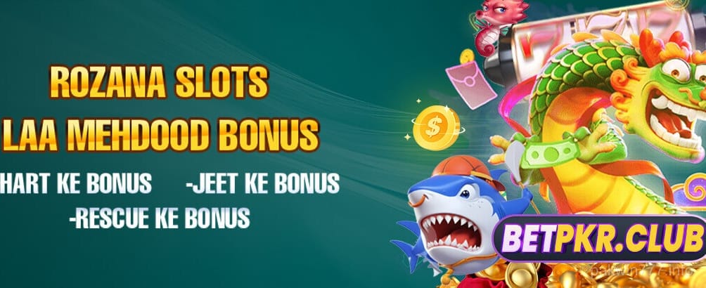 Daily Bonus & Free Spins